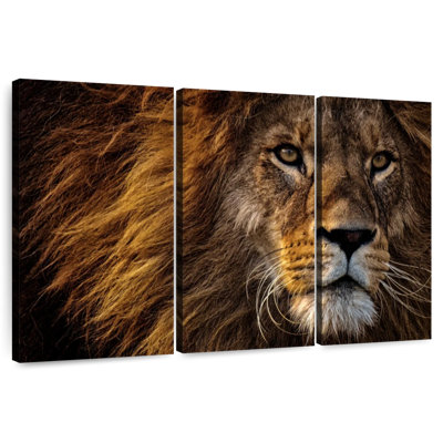 Brampt Wild Haired Lion Head