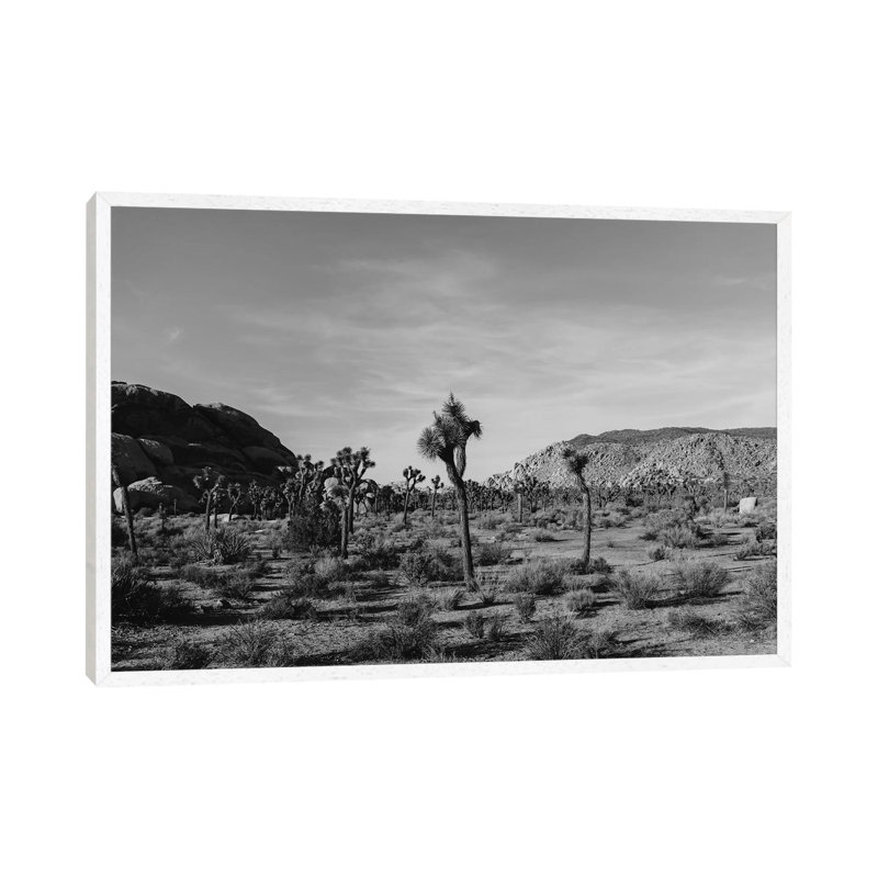 Joshua Tree National Park XXXI by Bethany Young - Print on Canvas, White Framed, 66.04cm H x 101.6cm W x 3.81cm D