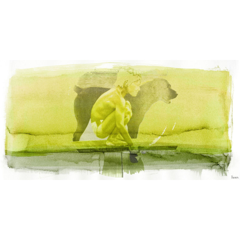 Parvez Taj - Wrapped Canvas Print, 57cm H x 114cm W