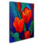 «Tulipes» de Kucera, reproduction d'art sur toile tendue-22071615