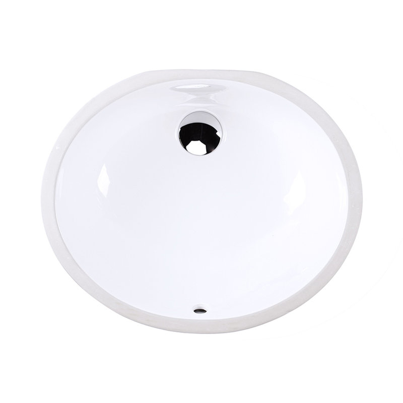 Euro 19.5'' L Bathroom Sink