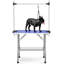 Table de toilettage pour animaux avec pattes pliantes-107232129-100930528