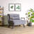 Modern 1-Seat Sofa-Bed, Grey | 100% Metal Frame & 100% Polyester Fabric | Dimensions: 26.4 x 26.4 x 16.1 inches | Easily Convertible | 14-Level Adjustable Backrest | Maximum Weight Capacity: 220 lbs | Stylish & Functional Design for Home & Office-280009920