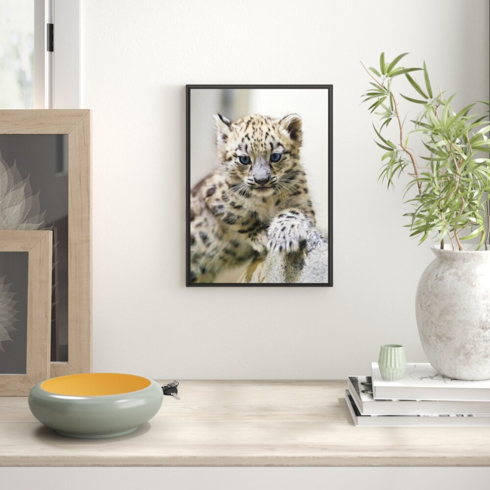 Gerahmtes Wandbild Leopardenjunges beim Klettern