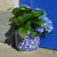 Ensemble de jardinières Blue Garden and Florentine