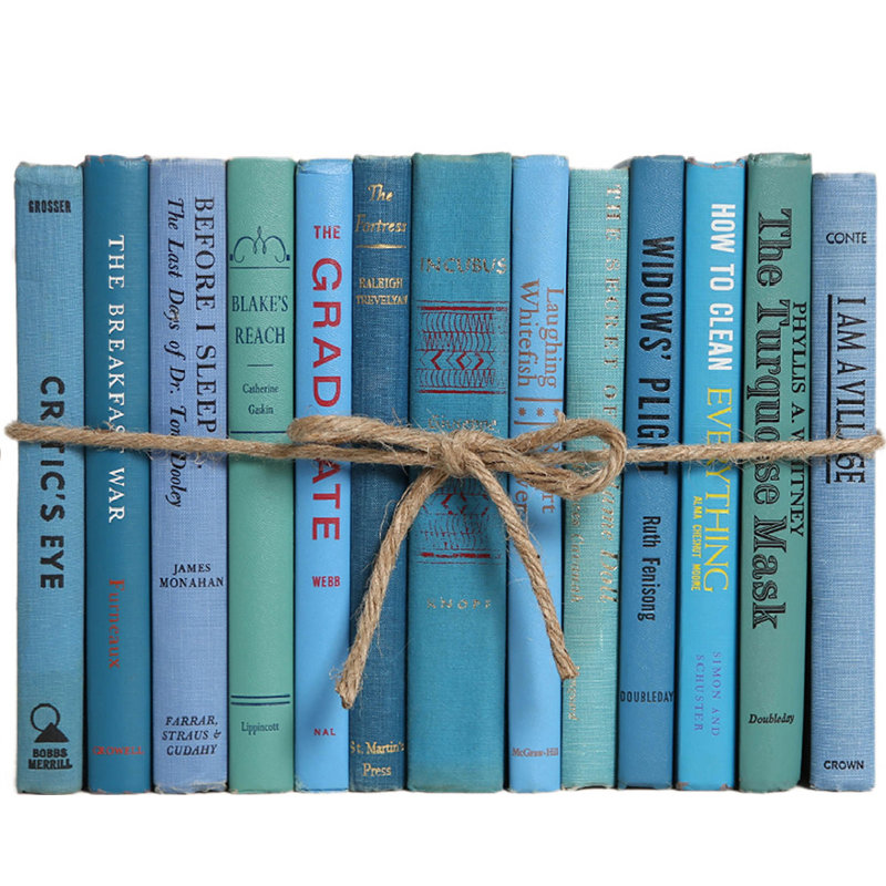 Livres décoratifs - Livres d'îles rétro - Livres bleus au pied