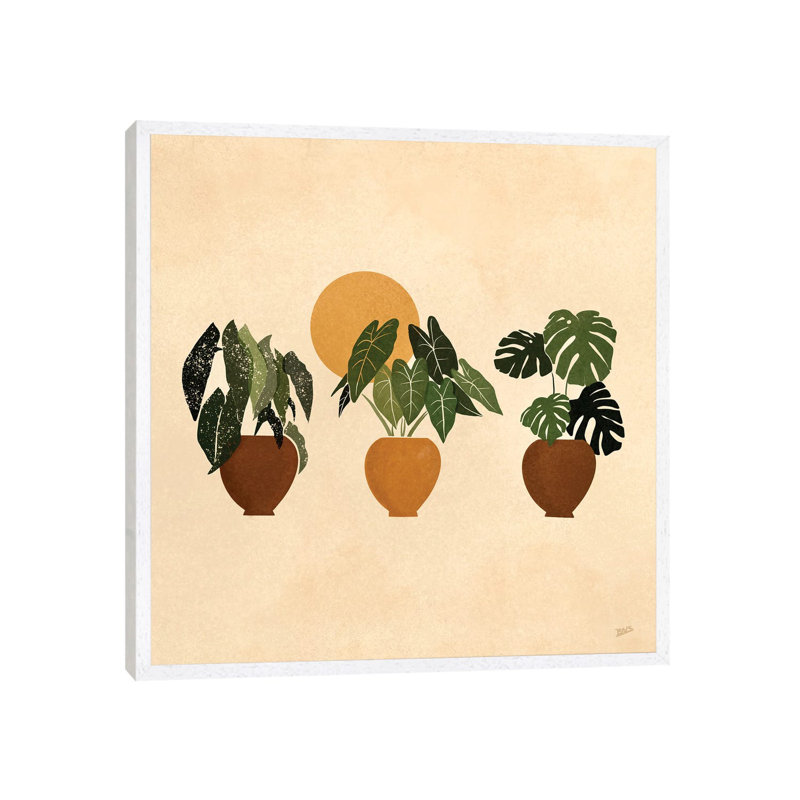 Houseplants I by Bria Nicole - Print on Canvas, 66.04 cm H x 66.04 cm W, White Framed Canvas