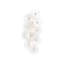 Julie Neill 3 - Light Armed Sconce-111289754