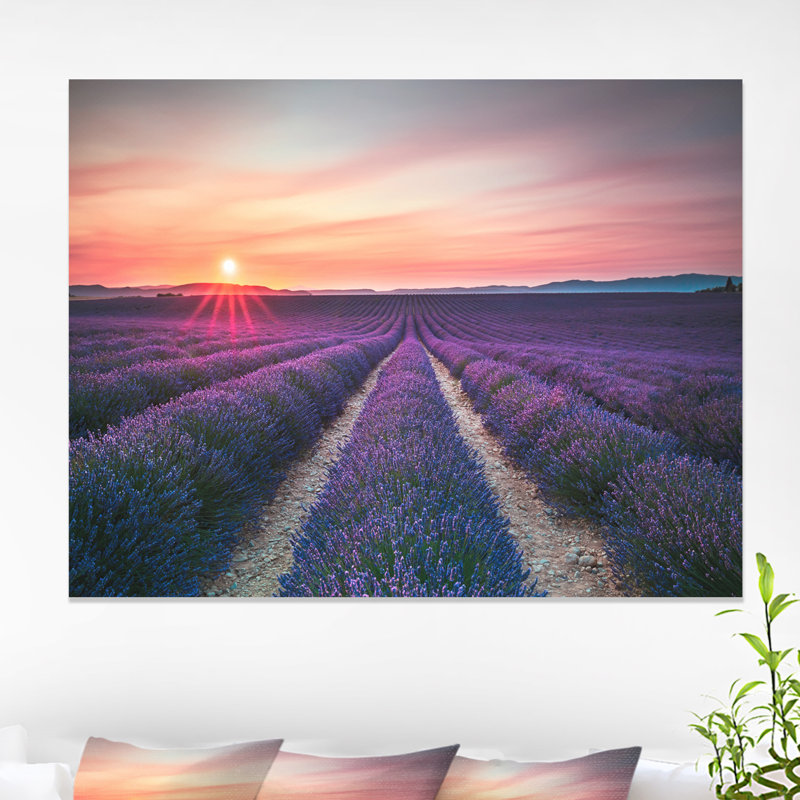 «Endless Rows of Lavender Flowers Modern Landscape», reproduction de photo sur toile tendue, H 30 po x l 40 po x P 1 po