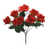 Corail