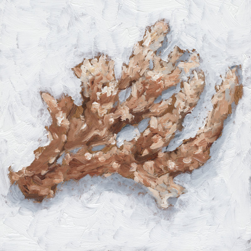 Coral Display II by Ethan Harper - Wrapped Canvas Painting, 30cm H x 30cm W
