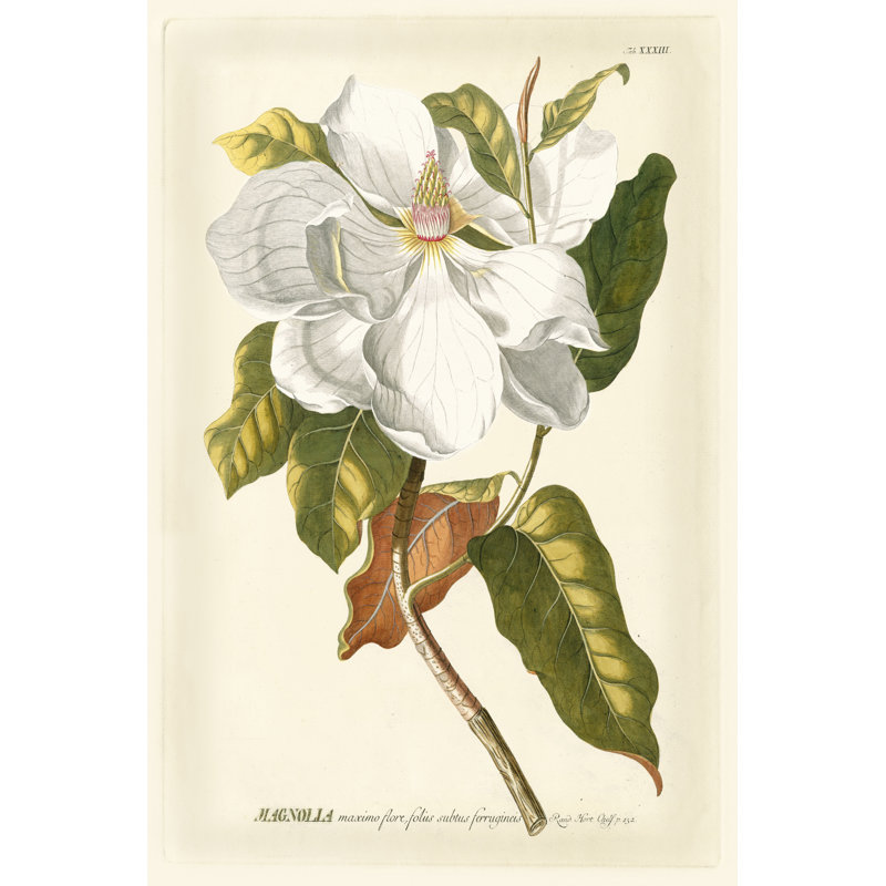 «Magnifique Magnolias I», peinture sur toile, H 12 po x l 8 po