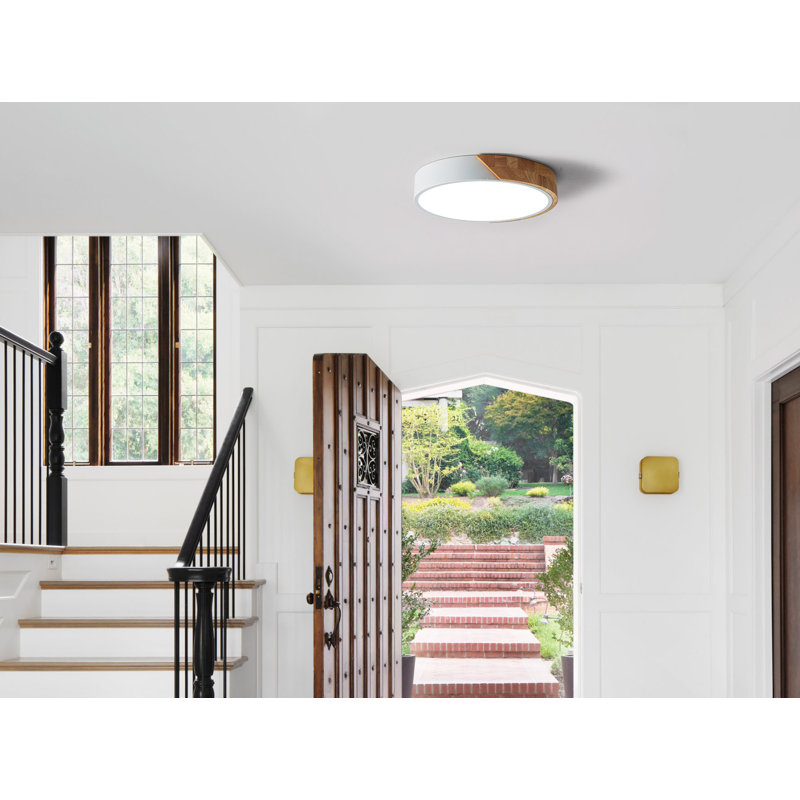 Demeshia LED Flush Mount, 6500K, Black