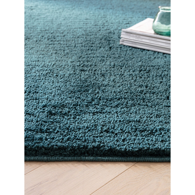 Ronalee Rectangle Shag Washable, Teal, Rectangle 67 x 130 cm