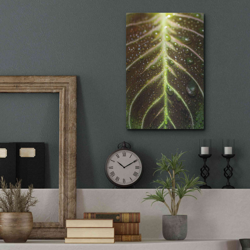 «Morning Dew» par Luxe, H 16 po x l 12 po