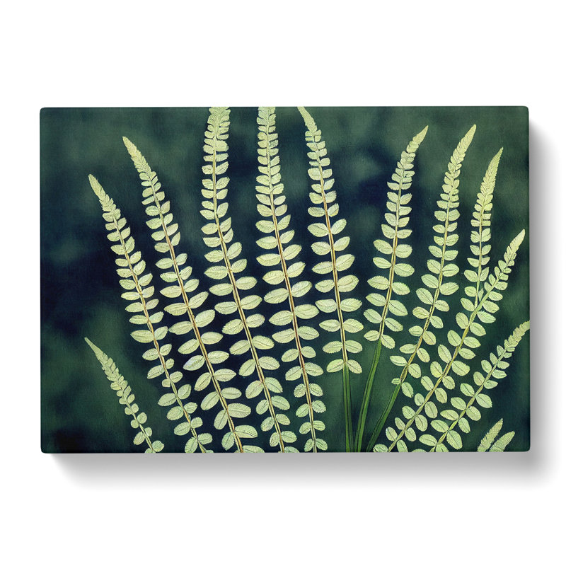 Beguiling Fern Leaf - Wrapped Canvas, 40cm H x 60cm W x 3cm D