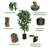 72'' Faux Ficus Tree in Pot