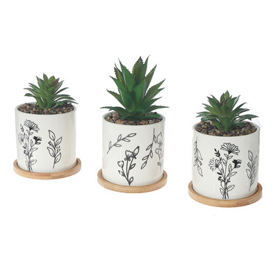 Succulent artificiel dans un pot en céramique assorti - ensemble de 2