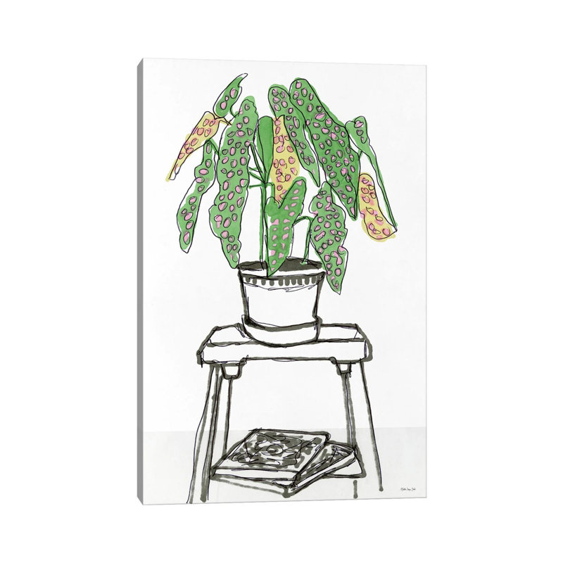 House Plant Study I by Stellar Design Studio - Wrapped Canvas Gallery-Wrapped Canvas Giclée, 30.48 cm H x 20.32 cm W