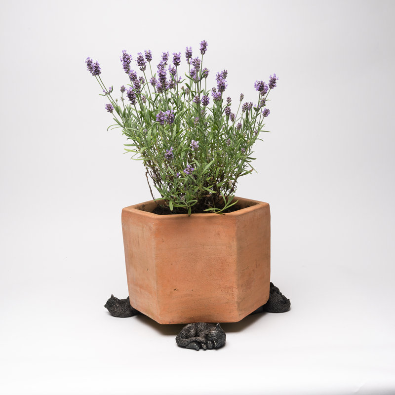 Jovie Weather Resistant Planter Feet