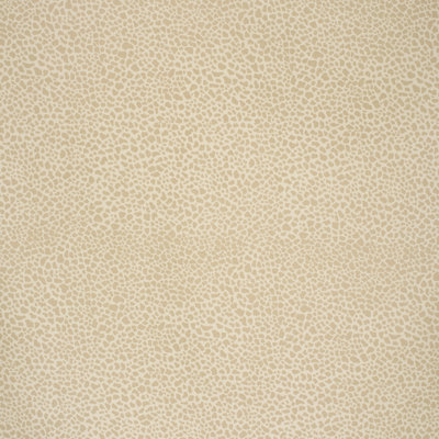 Safari Cotton Fabric