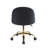 Ganey Velvet Task Chair-724784662