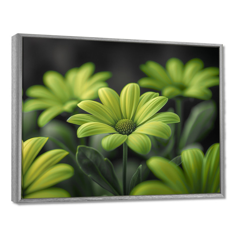 Photo de marguerites monochromes vertes et noires - salon de marguerites murales, Encadrement argenté, H 24 po x l 32 po