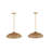 Boho Rattan Pendant Light With Glass Diffuser