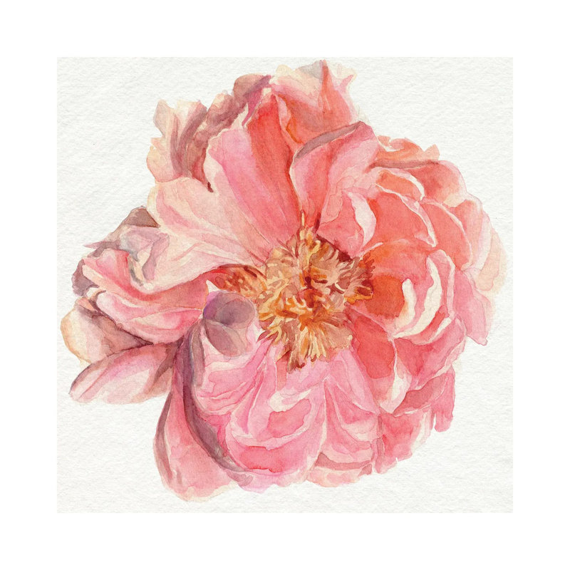 Blossomed Peony I by Jennifer Paxton Parker - Wrapped Canvas Painting, 45.72 cm H x 45.72 cm W x 1.91 cm D