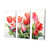 Toile tendue