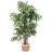 59'' Faux Bamboo Tree in Cement Basket