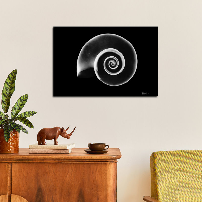 Reproduction d'art mural sur toile Steemplix - Ramshorn Snail Shell par Albert Koetsier