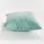 Suri Polyester Indoor/Outdoor Pillow Cover & Insert-176676553-176676554-176676555