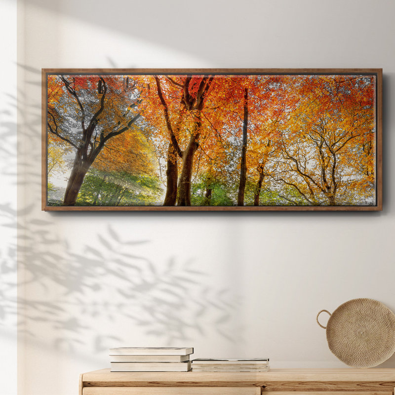 Prisme de lumière, reproduction sur toile, Noyer, H 20 po x l 50 po x P 1,5 po