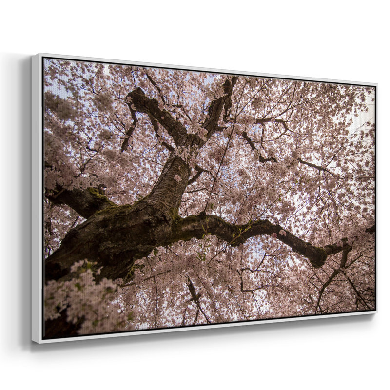 "Spring's arrive", reproduction sur toile, Blanc, H 25 po x l 37 po x P 2 po