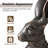 23''H MGO Bronze Standing Rabbit Statue