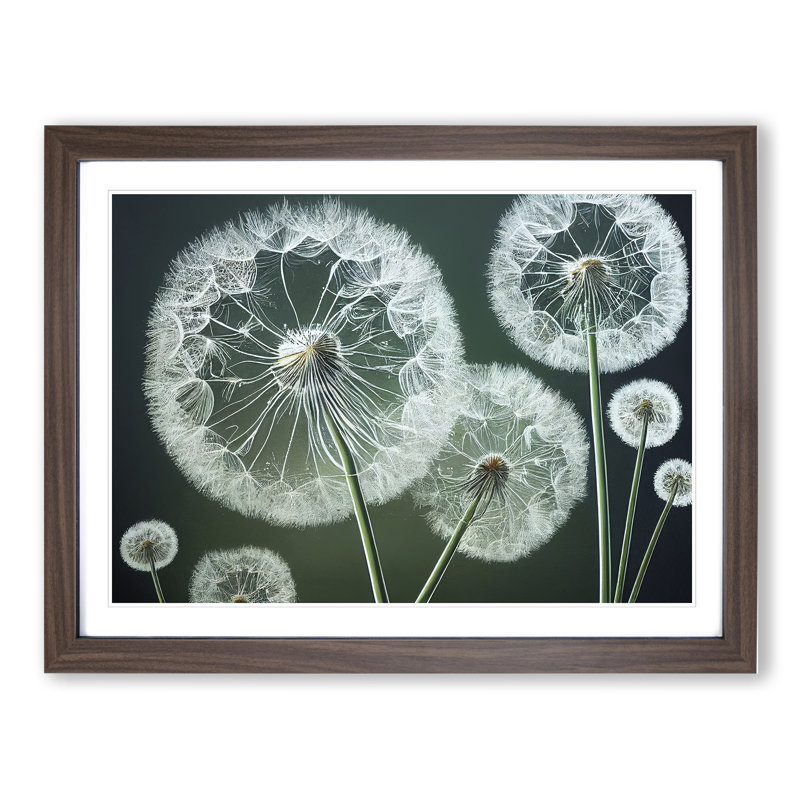 Joyful Dandelion Flowers - Single Picture Frame Print, 34cm H x 46cm W x 2cm D, Walnut Framed