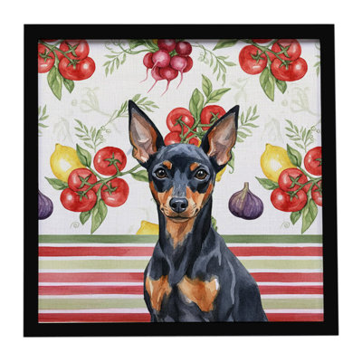 Black and Tan Miniature Pinscher Vegetables Framed Metal Print