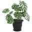 Planter