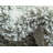 Walsenburg Oriental Indoor Rug-1386068820