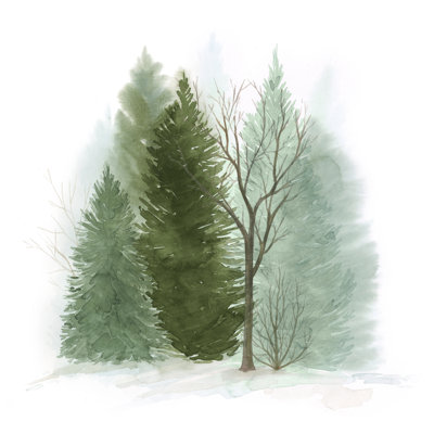 Promenade dans les bois II