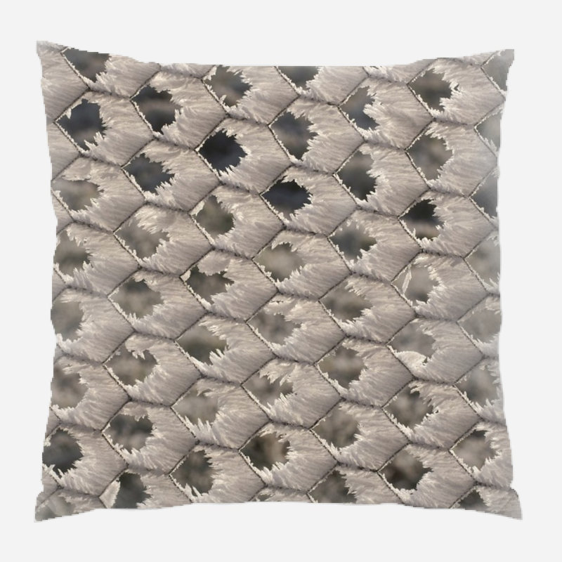 Ruhl Pattern Throw Pillow, Indoor