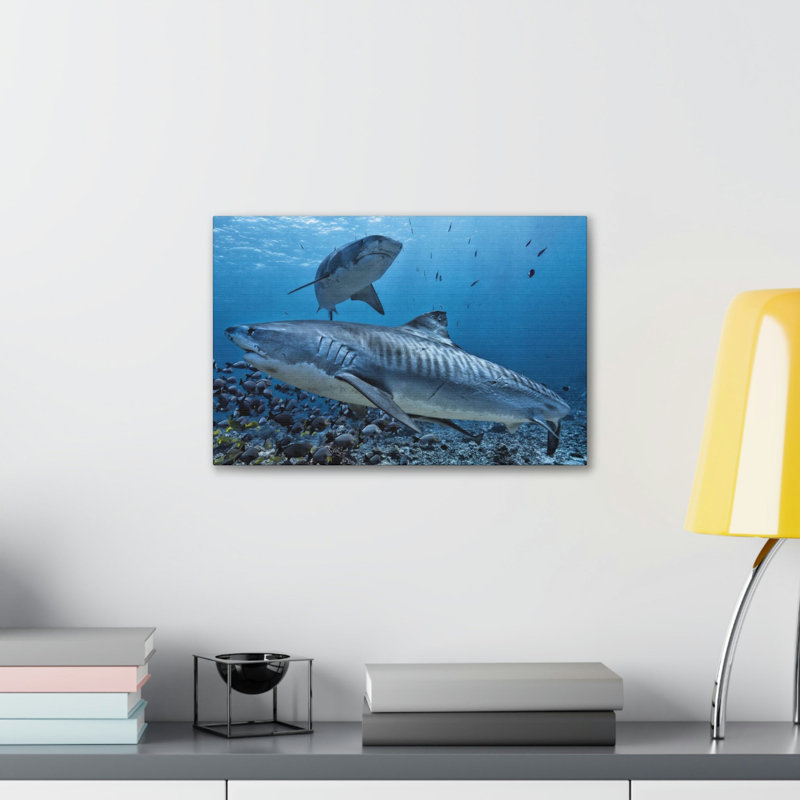 No Frame Print on Canvas, 11cm H x 14cm W