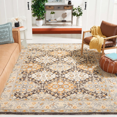 Vahakn Hand Tufted Wool/Cotton Oriental Rug in Beige/Brown