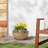 Myrie Pot Planter-1851755108-1851755109