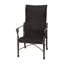 Grand Terrace Woven High Back Dining Chair-69945385-69946203