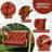 Wynee Porch Swing Cushion 5" Outdoor Bench Cushion, Only Cushion-1806757259-1780982391