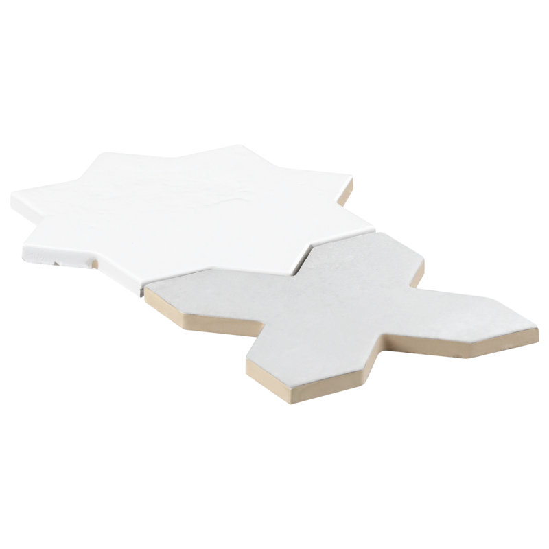 Parma Star-Crossed 6x6 Matte Terracotta Look Porcelain Floor and Wall Tile, Polished White/White