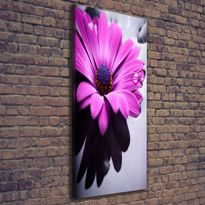 Pink Gerbera - Wrapped Canvas Print