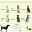 Tente pour chien Pawhut Pop Up pour chiens de très grande taille et de grande taille